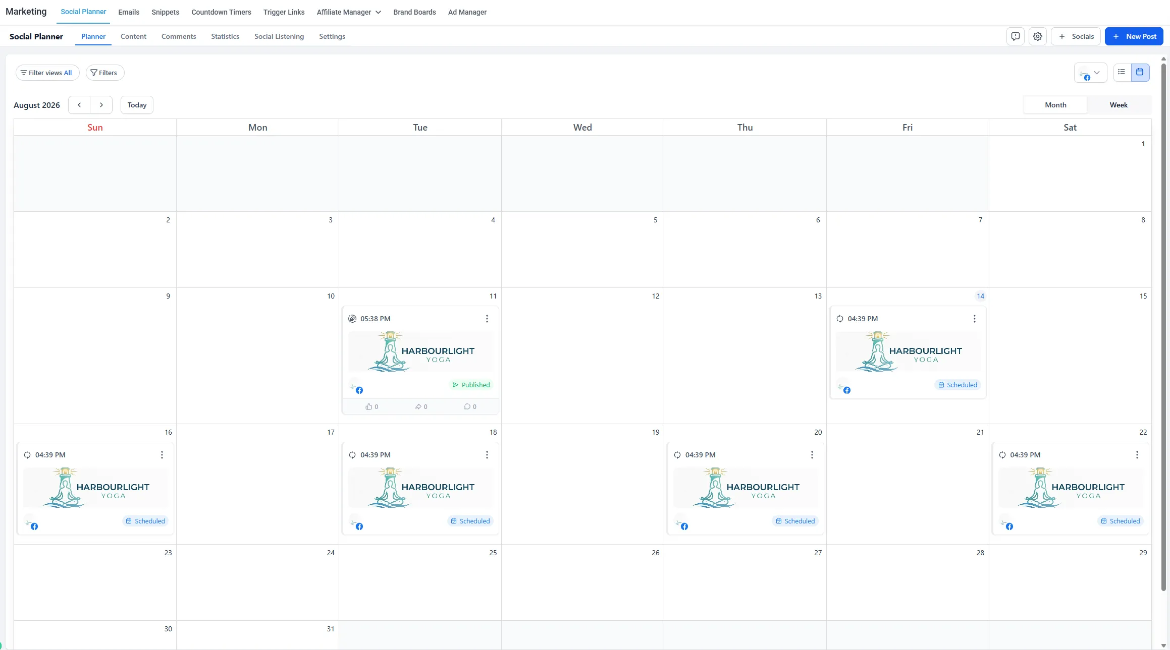 The month view with published and scheduled posts spread across the weeks of the month.